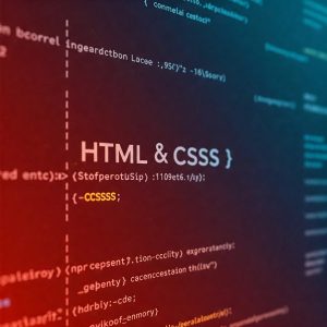IT Specialist | HTML and CSS